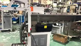 Bucket Chain Automatic Packaging Machine For Potato Chips Crispy Rice Apple Flakes Fruit Jelly
