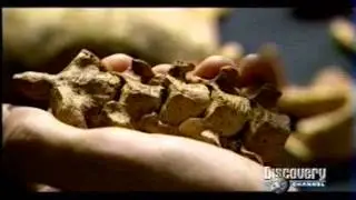 Lambayeque  Sicán  Batán Grande  Sacrificios Humanos Sican Lambayeque