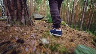 Low angle view of male tourist's legs walking in forest on grass among trees stepping on rocks and