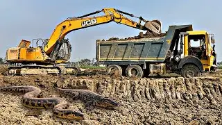 JCB 220LC Excavator Loading in Trucks | New TATA 2518 Tipper Dump Truck Working With JCB Excavator 