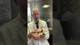 Spinal Decompression Therapy Explained