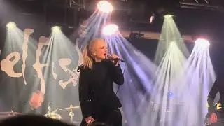 Angelfish-The Sun Won’t Shine (Live)
