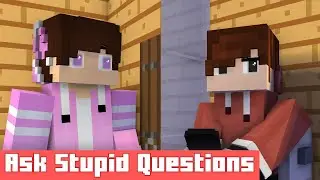 When People Ask Stupid Questions With Obvious Answers (Minecraft Animation)