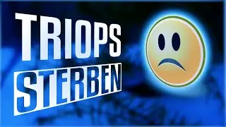 🦐 🦐 Warum sterben Triops? 5 Gründe 🦐 🦐