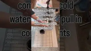 How to Wash Eggs