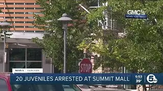 20 arrested after Summit Mall closes due to juvenile general disorder