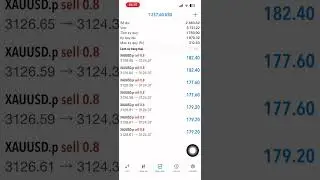 Forex & MMo