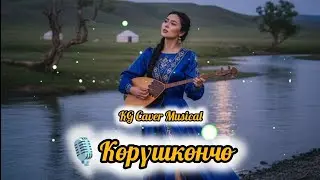 🎵 