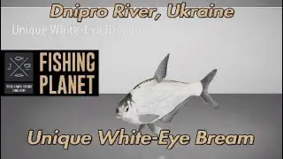 Уникальный белоглазый лещ на реке Днепр в Украине. Путеводитель Fishing Planet.