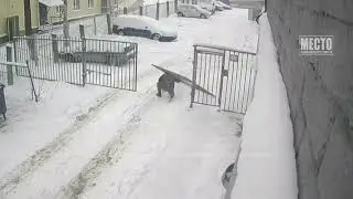 Ни в какие ворота не лезет  Фиаско на Октябрьском, 127