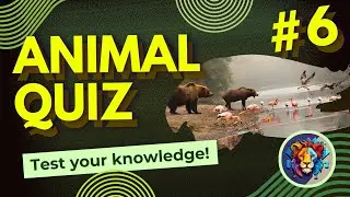 Test Your Knowledge: Animal Quiz in English 6 | Enigmatic Questions