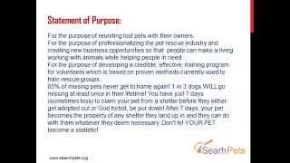 Search pets Lost Pets Finder How to find a lost pet