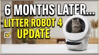 Litter Robot 4 review: 6 Months Late, My Litter-Robot 4 Still Isn't Perfect (Honest)