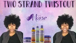 ✨Two Strand Twist-Out Using The Mane Choice Exotic Cool Laid Line✨