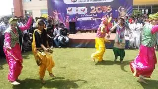 Student Bhangra on Visit of Josh T.V to Universal Group of Institutions