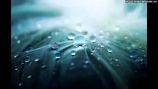 Rara Avis - Hare Krishna (Rarebird Mix)