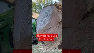 How do you dry fresh wood without cracking it #lumber #drying #sealingwax