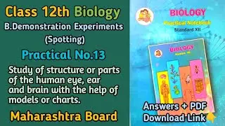 12th Biology Practical No.13 (Spotting): Study of structure or parts of human eye... | MH Board