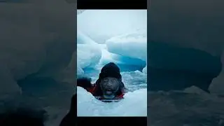 Man stuck in frozen sea #help #frozensea #life #viral