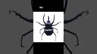 SAOSIN - YOU'RE NOT ALONE #saosin #yourenotalone