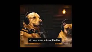 Dog Podcast Meme: 