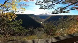 Fall In Pine Creek