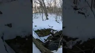 Вы видели источник в государственном парке Онондага-Кейв?
