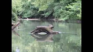 West ChickamaugaCreek NW GA Canoe 29 Jul 2022