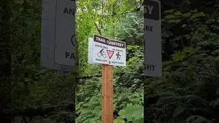 AUSTRALIA: Main Yarra Trail Kew  🧐 ((BASS SHADE)))