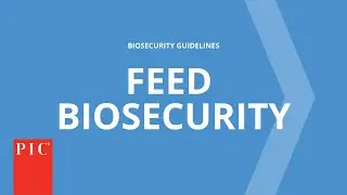 Feed Biosecurity | Pig Improvement Company
