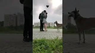 Мой любимый )