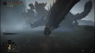Pov you play Elden Ring on base ps4 :/
