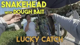 Fishing in Vietnam&rsquo;s Mekong Delta &ndash; Snakehead on Dough Bait