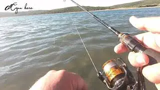 Levrek avı ( fishing ) lrf ile küçük oyunlara devam. #fishing