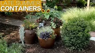Late Summer Containers 🌿 // Garden Answer