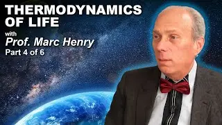 Prof. Marc Henry &ndash; Thermodynamics of Life (Part 4 of 6): Entropy vs Energy and the Illusion of Power