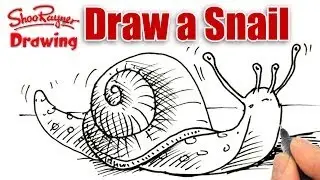 How to draw a Snail