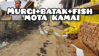 Murgi+ batak+fish mota kamai @imrsahil24