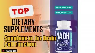 Top 10 Dietary Supplements about Supplement for Brain Cell Function Popular of 2024