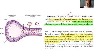 salivary secretion (high and low flow)