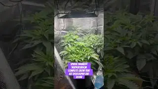 Spider Farmer&reg; 90X90X180cm Complete Grow Tent Kit SF2000PRO EVO 200W  #crazybud #420 #growled