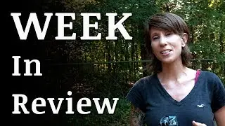 What HAPPENED On the Homestead? | July 22, 2017