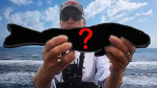 These fish get this big ?  Port Aransas Surf Fishing GOFISH