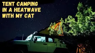 Tent Camping in the GFC Superlite With My Cat During the 2022 Spring Heatwave #fjcruiser #blackrvers
