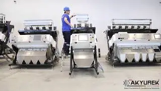 Yeni Nesil Sorturk Renk Ayırma Makinesi C-1 Kabuklu Badem Testi