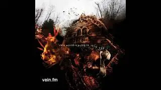 Vein.fm - This World Is Going To Ruin You (Full Album)