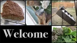 Welcome, Subscribe to RainToGreen!