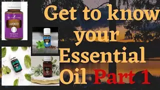 Get to know your Premium Starter Kit Essential Oils Part 1