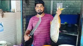 8Kg Big Trevally Fish  Express Speed Slice Cutting Skills....