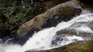 #Uluppuni #Waterfall#jeep safari#vagmon#idukki#fog#mist